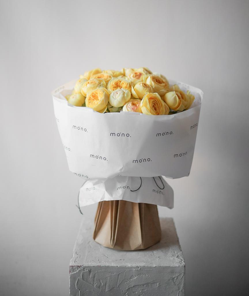 розы кустовые ПИОНИ БАБЛС | норм