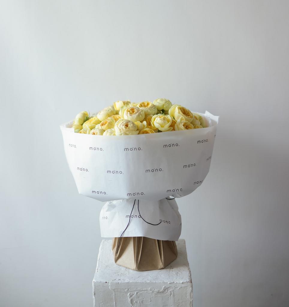 розы кустовые ПИОНИ БАБЛС | макси