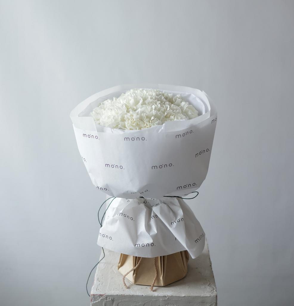 диантусы МУНЛАЙТ | мини