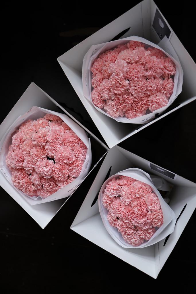 СЭТ из дуантусов донсел