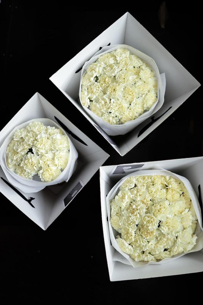 СЭТ из диантусов полимния