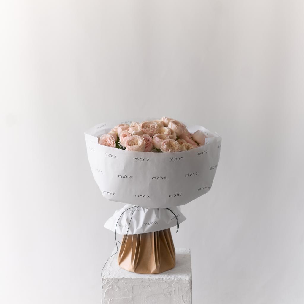 розы кустовые МЕНСФИЛД ПАРК | норм