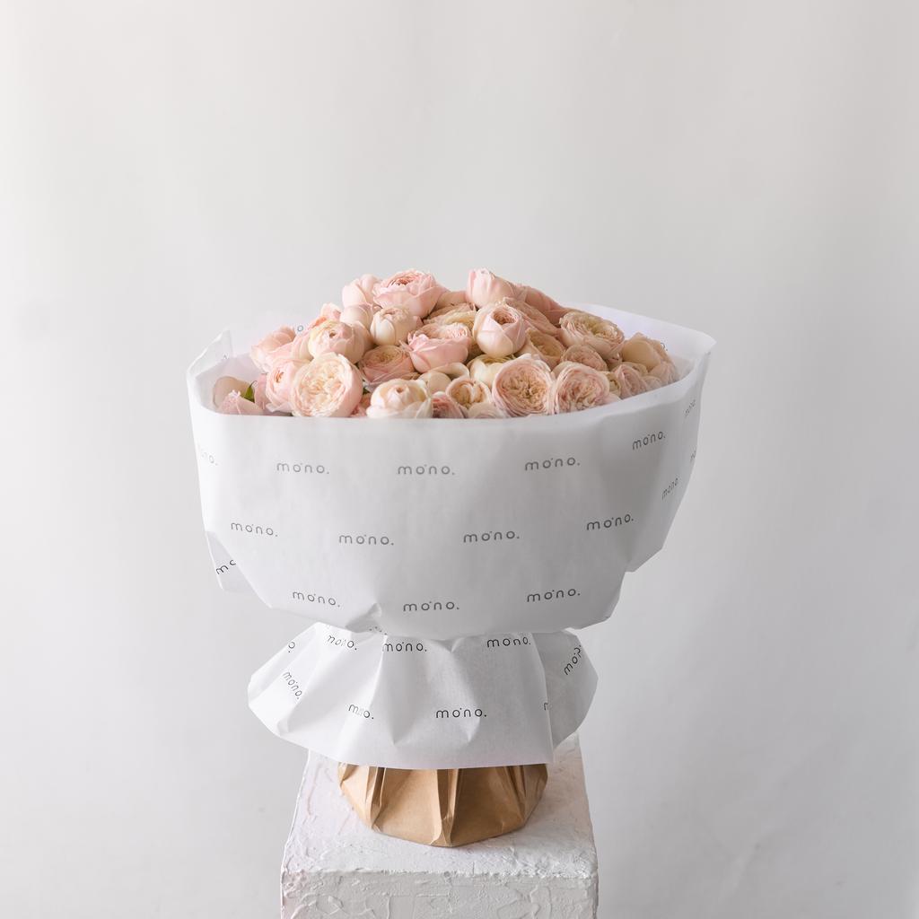 розы кустовые МЕНСФИЛД ПАРК | макси