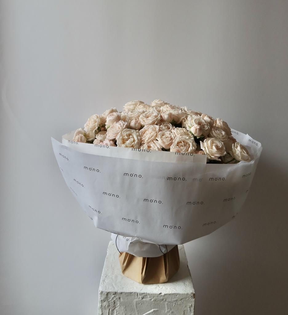 розы кустовые БОМБАСТИК | макси