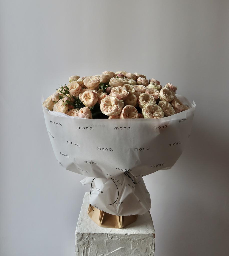 розы кустовые РОЯЛ БЛАШ | макси