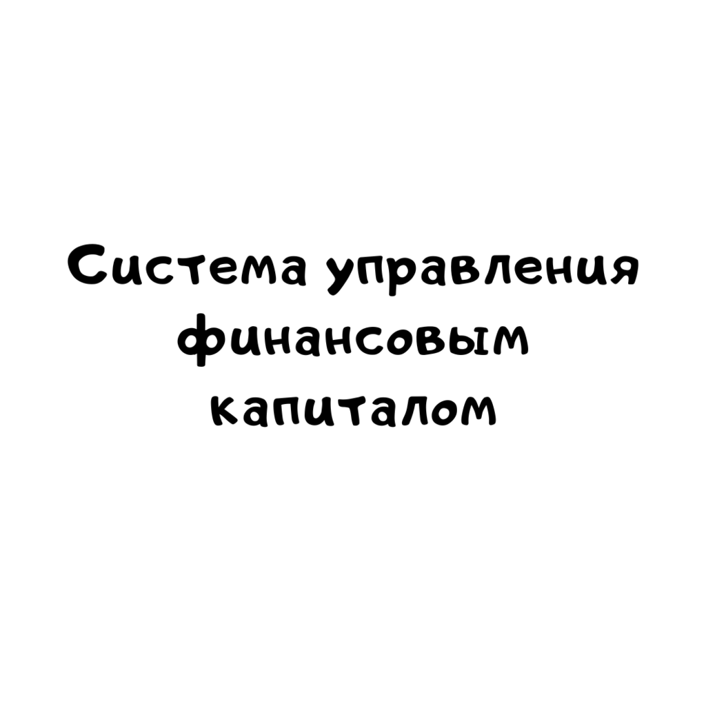 Система управления финансовым капиталом