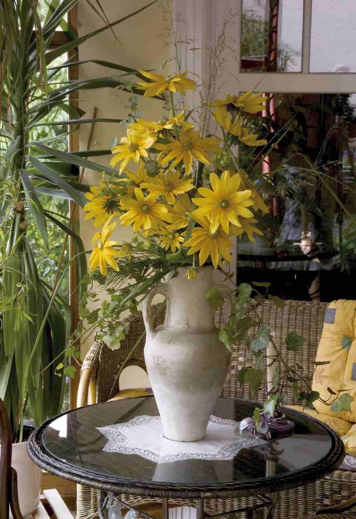 Rudbeckia hirta prairie sun