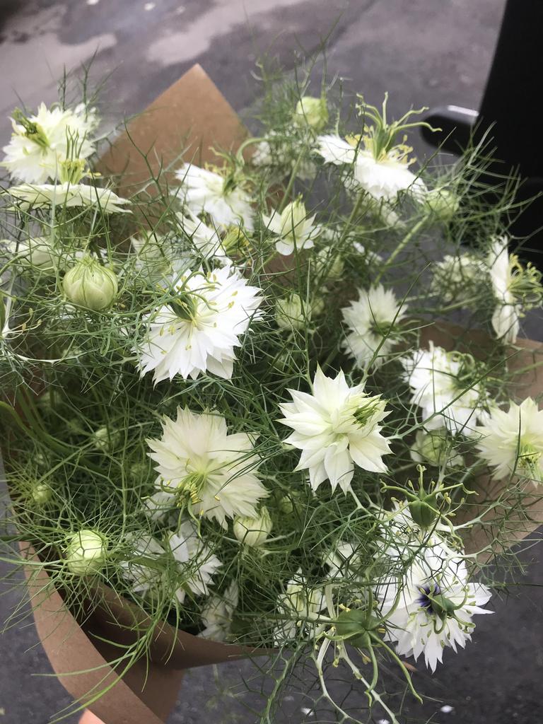 Нигелла Грин Под