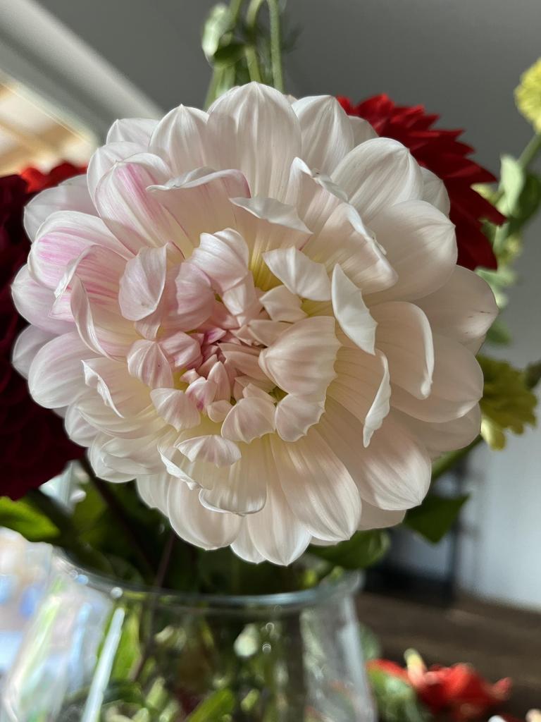 Георгина Келгай Эн