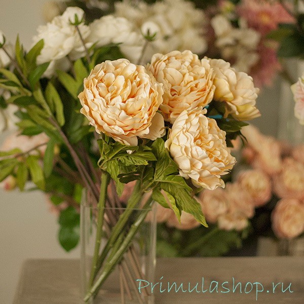 БОЛЬШИЕ ПИОНЫ КРЕМОВОГО ЦВЕТА