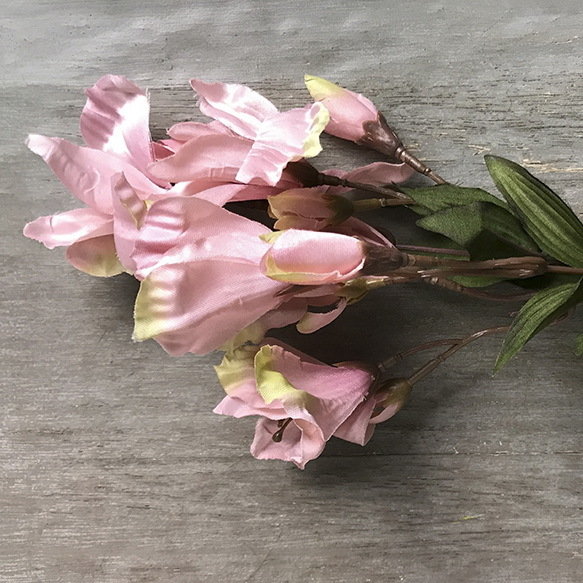 Альстромерия розовая