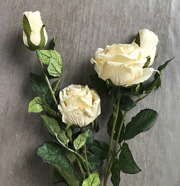 Букет из роз бежевый