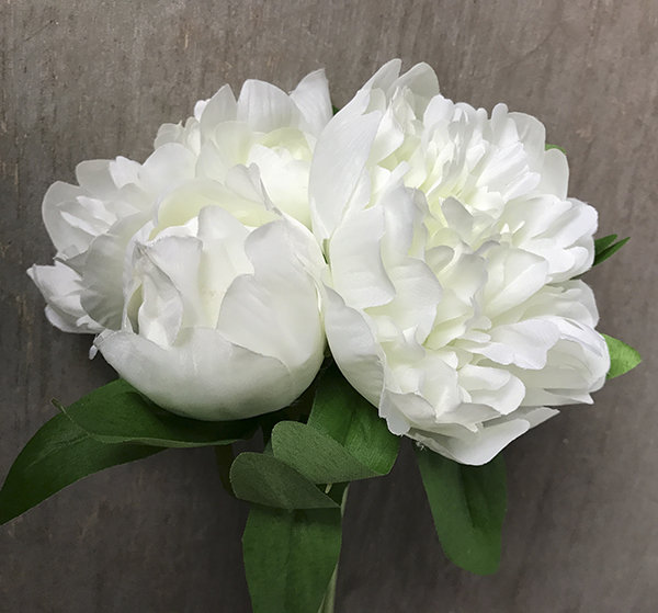 Букет пионов маленький белый