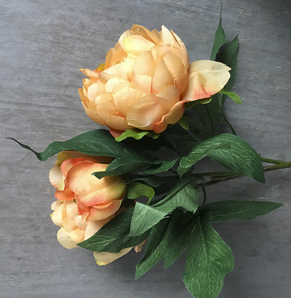 Букет пионов оранжевый