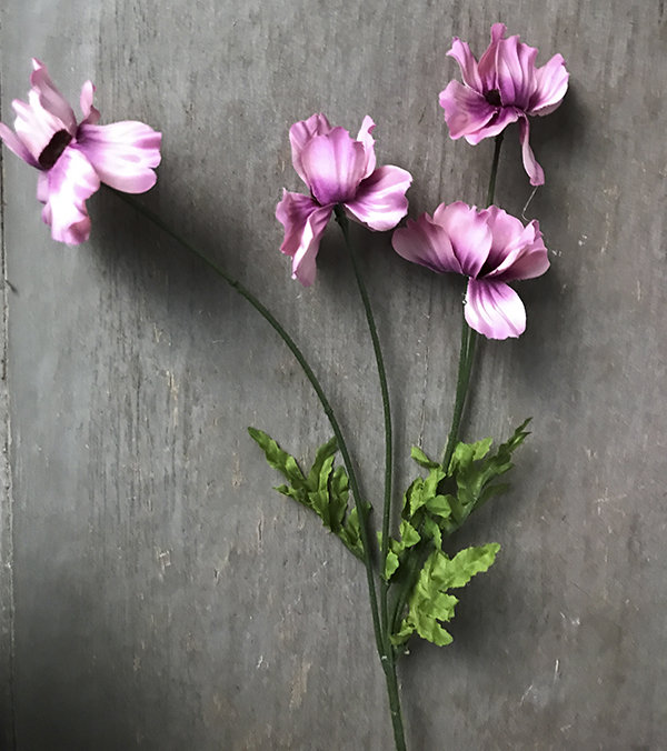 Космея розовая