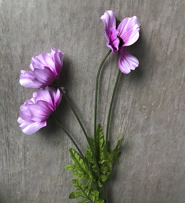 Космея темно-розовая