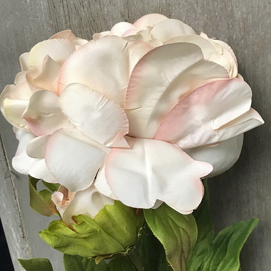 Пион розовый с бутоном