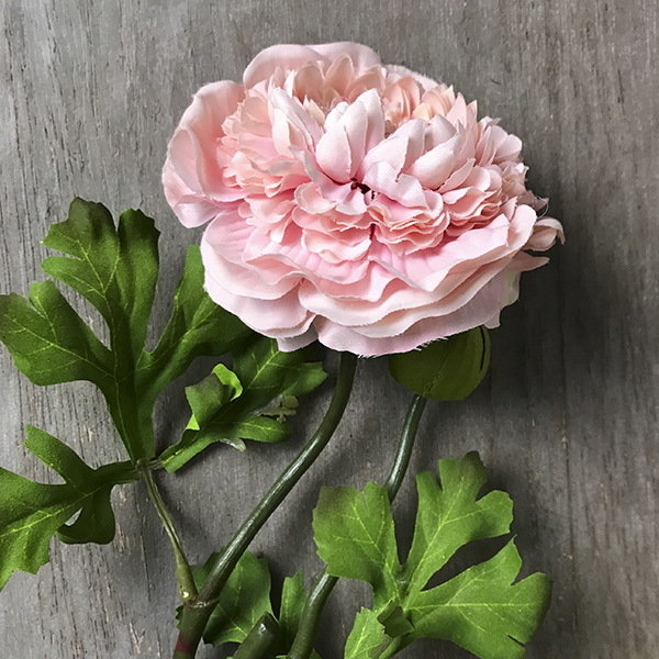 Ранункулюс светло-розовый