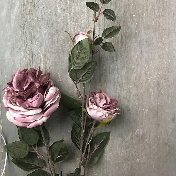 Роза пионовидная темно-розовая плетистая