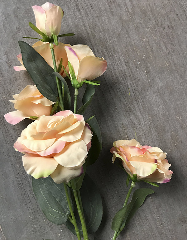 Эустома кремово-розовая