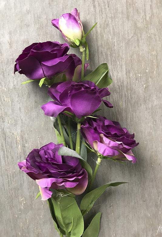 Эустома фиолетовая