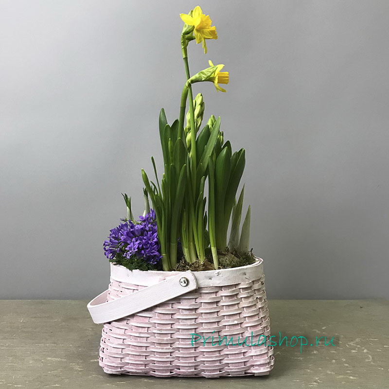 Подарочная корзинка с первоцветами розового цвета