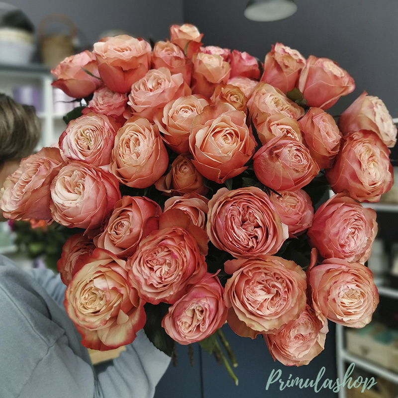 Букет из пионовидной розы