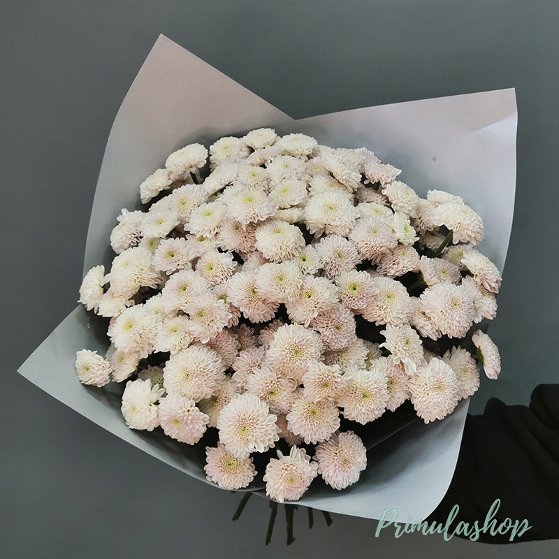 БУКЕТ ИЗ НЕЖНО-РОЗОВОЙ ХРИЗАНТЕМЫ САНТИНИ