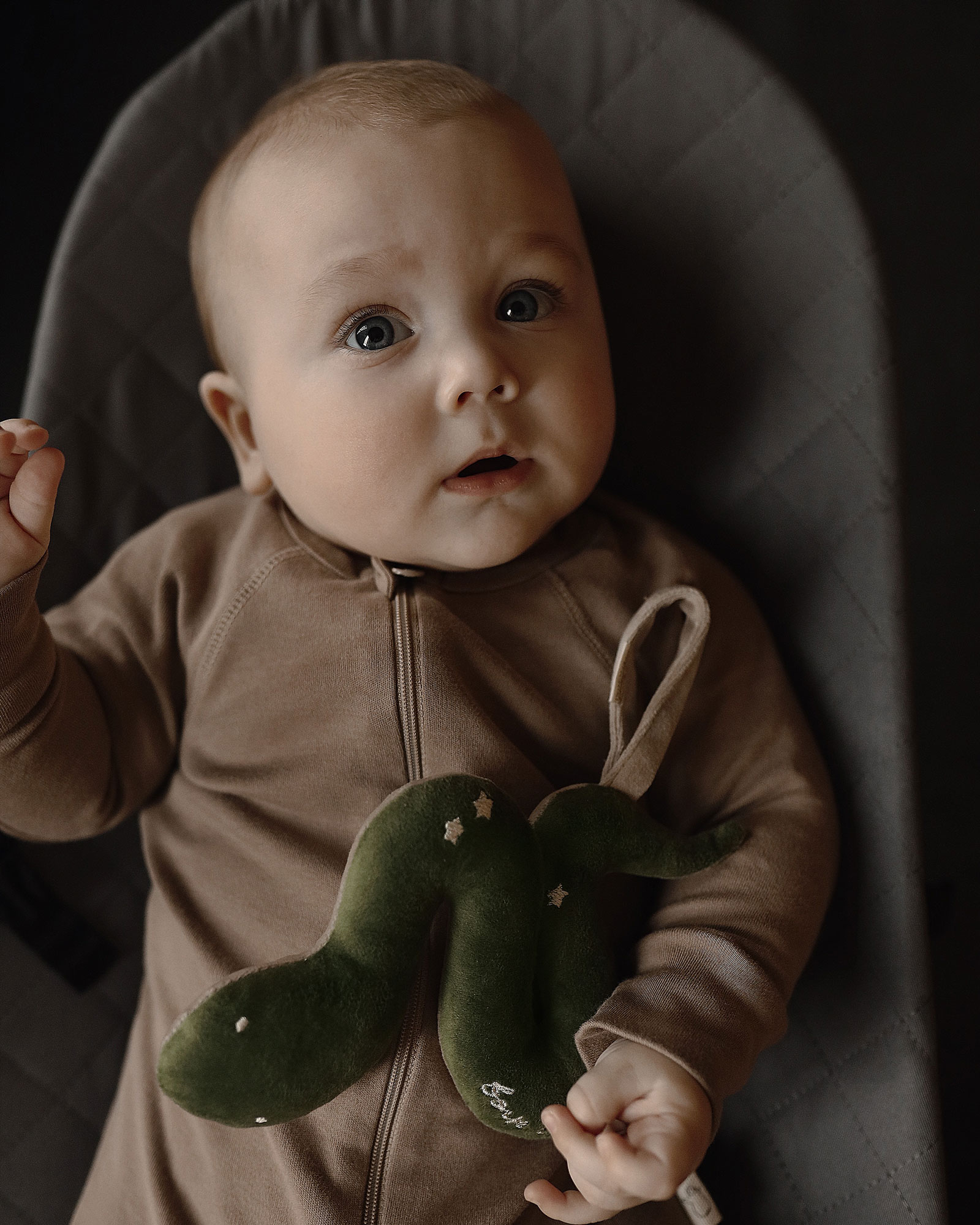 Игрушка Змея