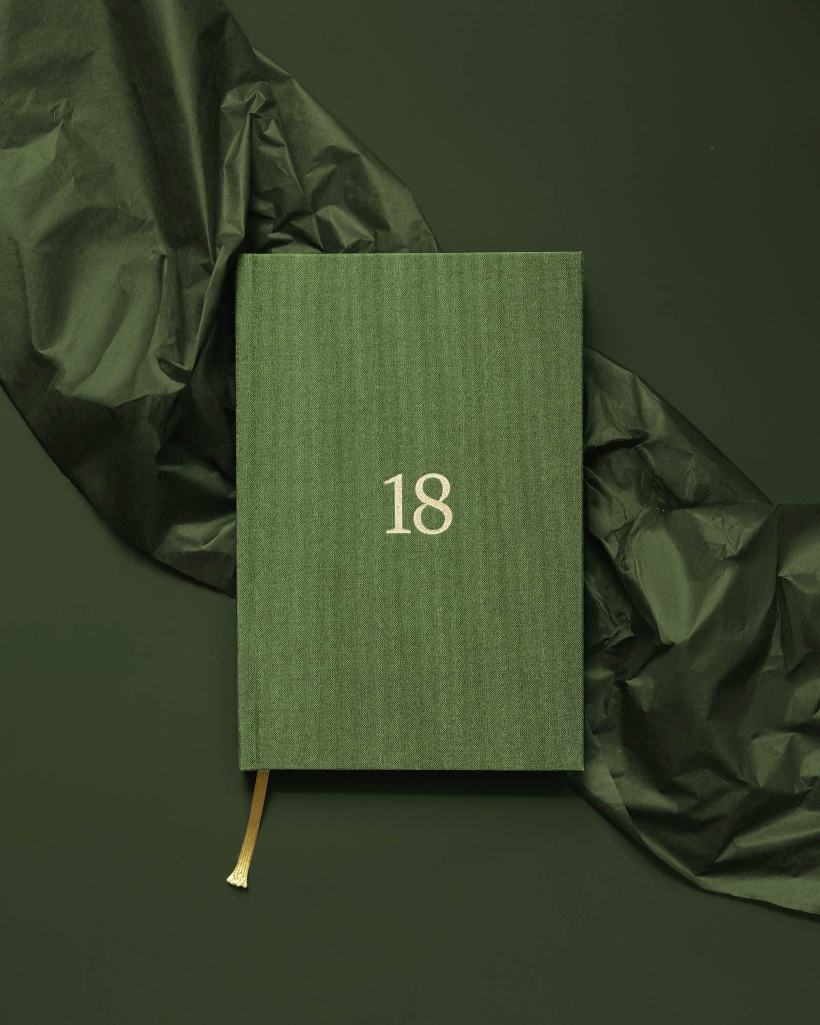 Книга Твои 18 (Змея)