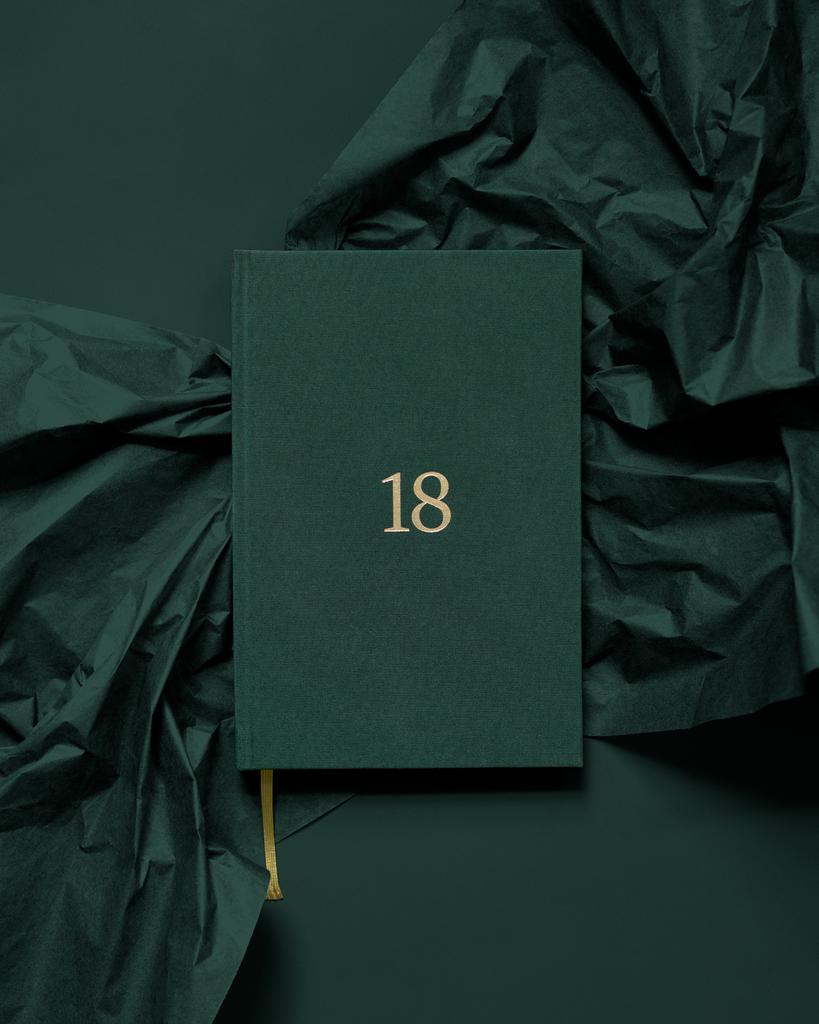 GARAGE «Твои 18» (Лес)