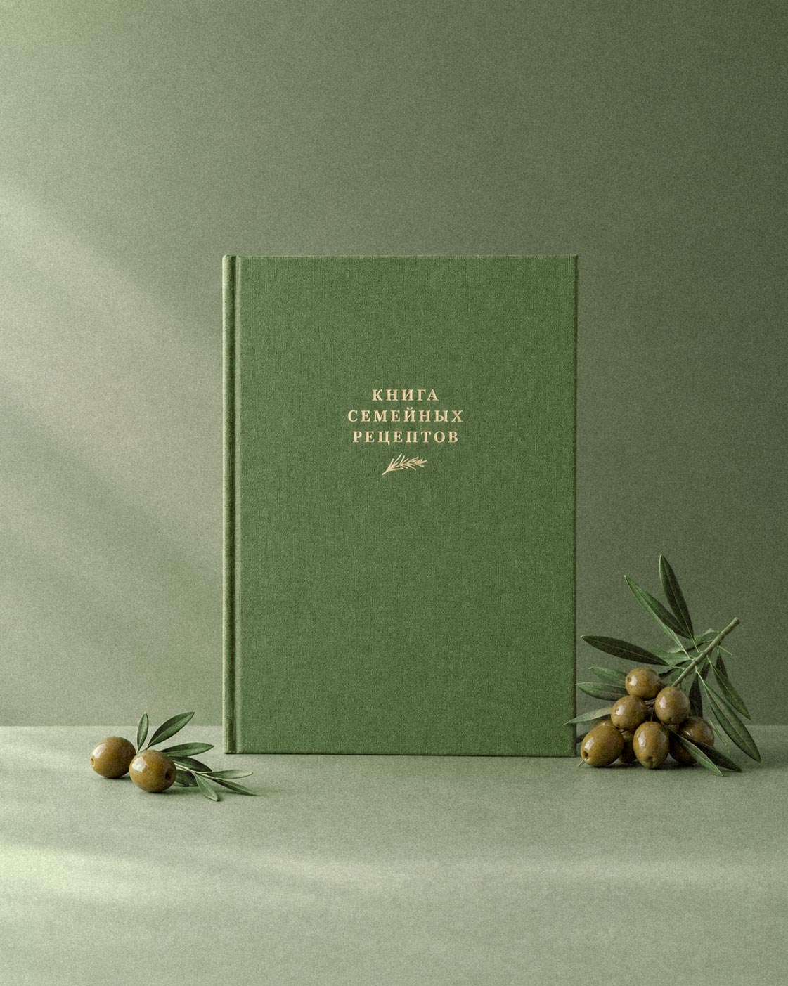Книга семейных рецептов (Оливка)