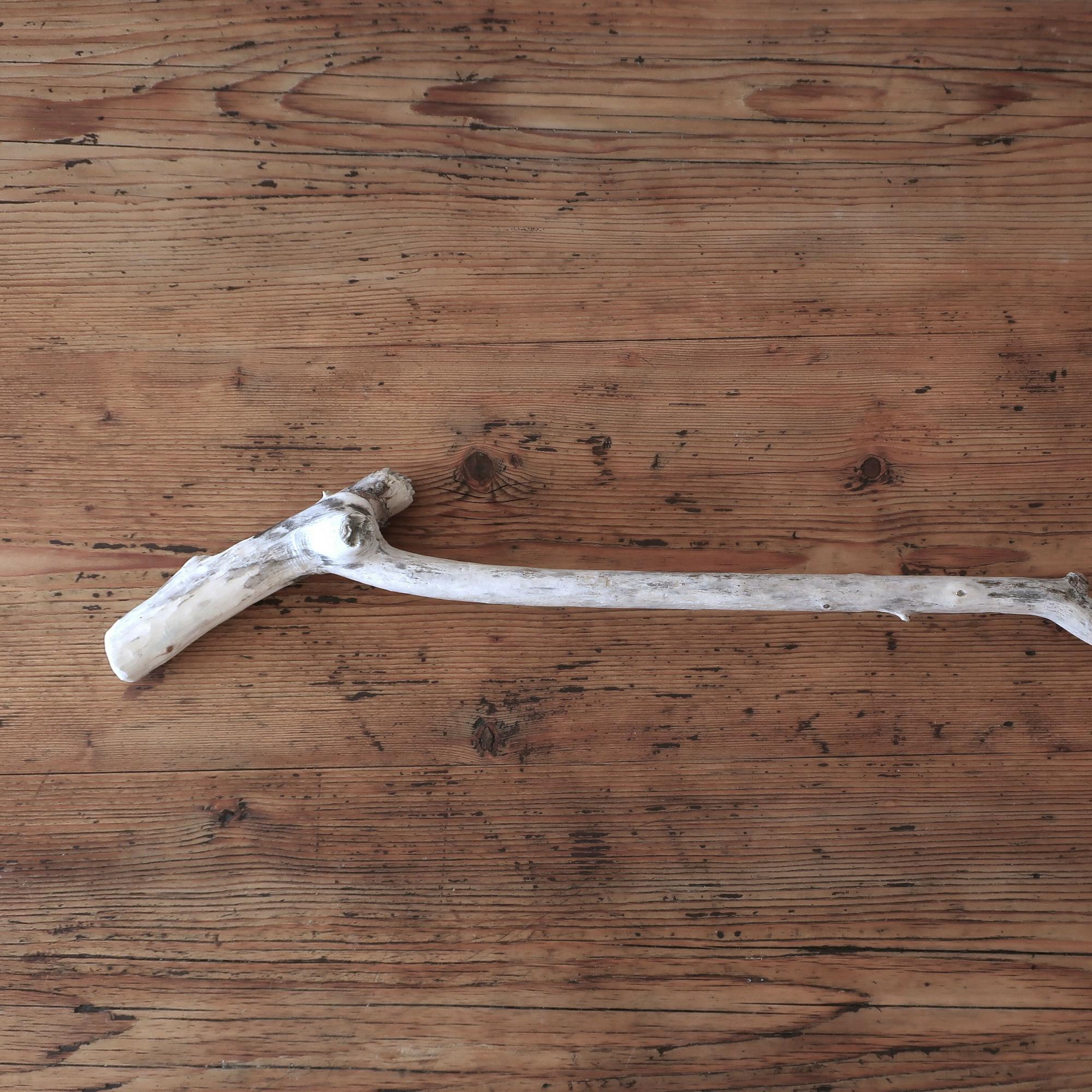 Danube driftwood walking cane
