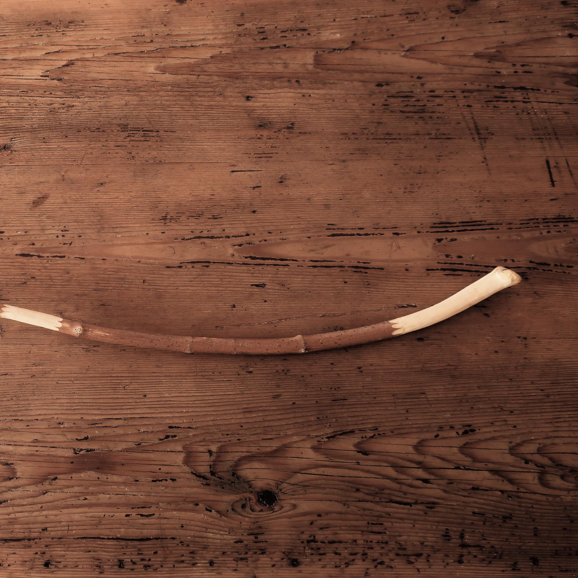 Vilash's willow walking stick