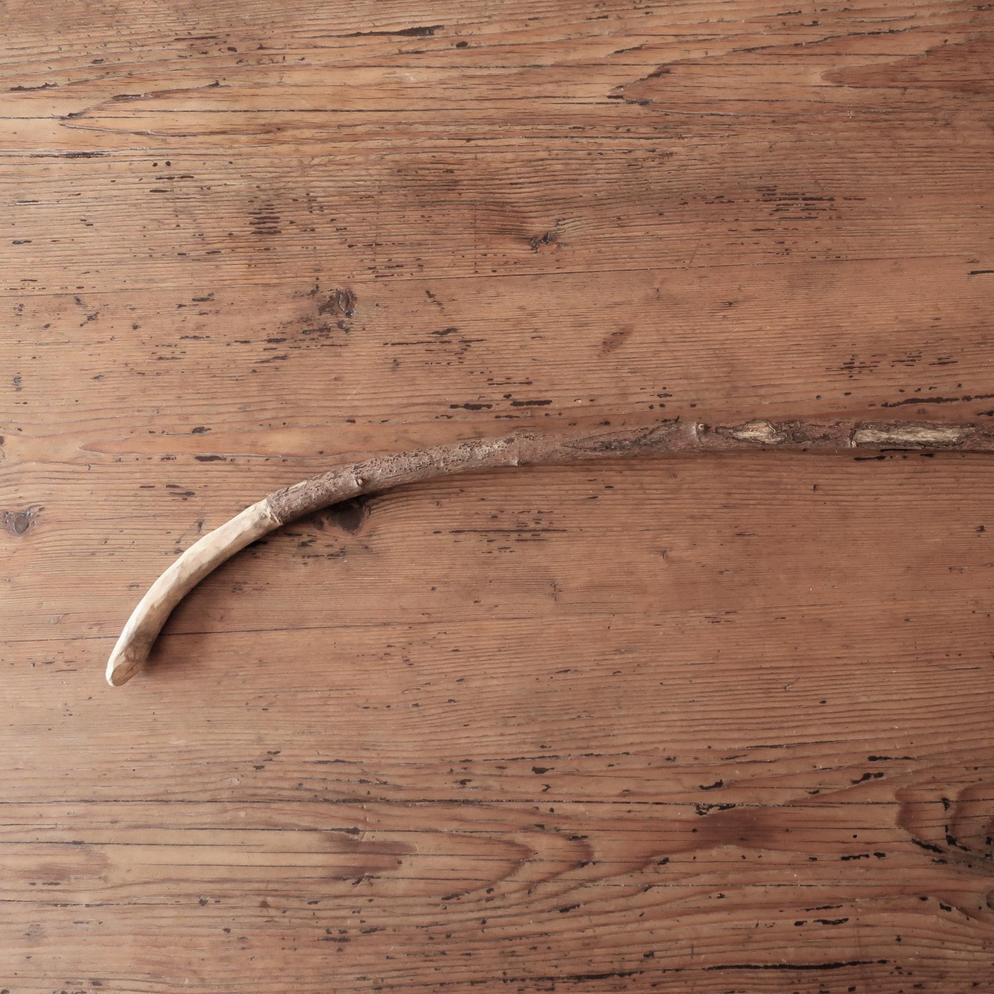 Vilash's lime tree walking stick