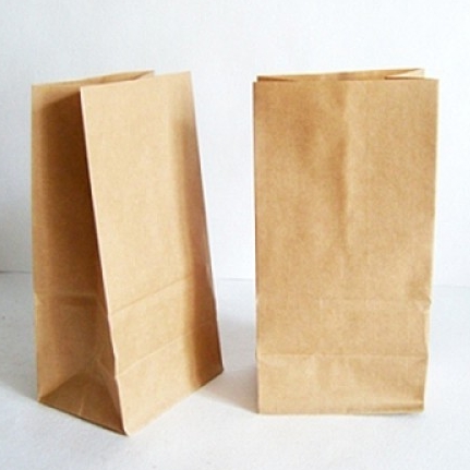 Пакет "на вынос" 260*150*340, РФ, 450 штук/упак.