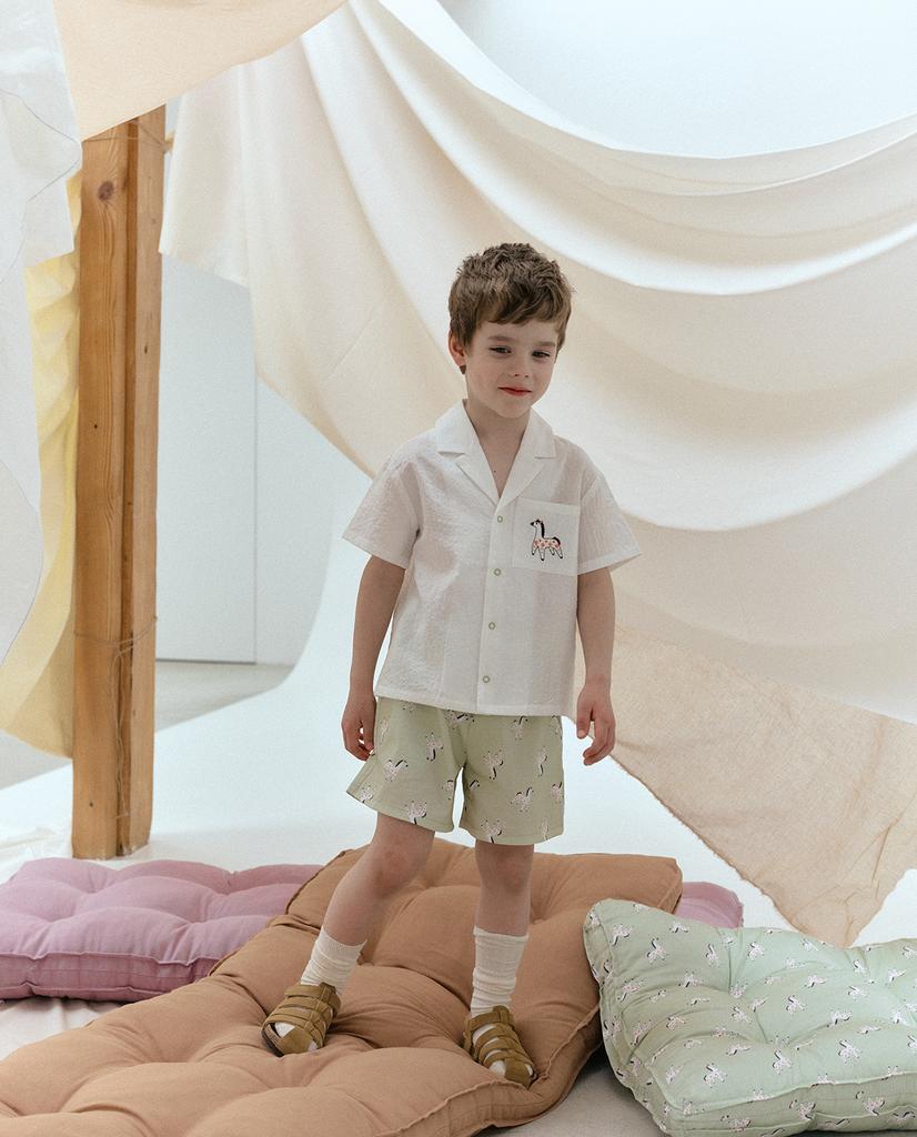 Шорты JAIDE MINT HORSE