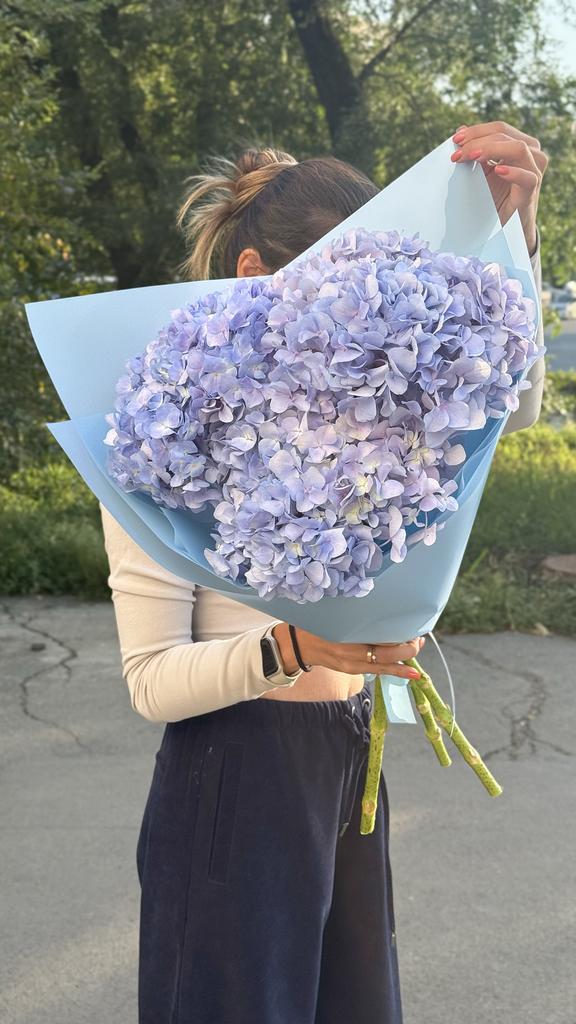 БУКЕТ ИЗ ГОРТЕНЗИИ (КИТАЙ)