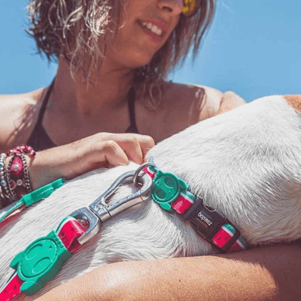 ОШЕЙНИК ZEE.DOG LOLA