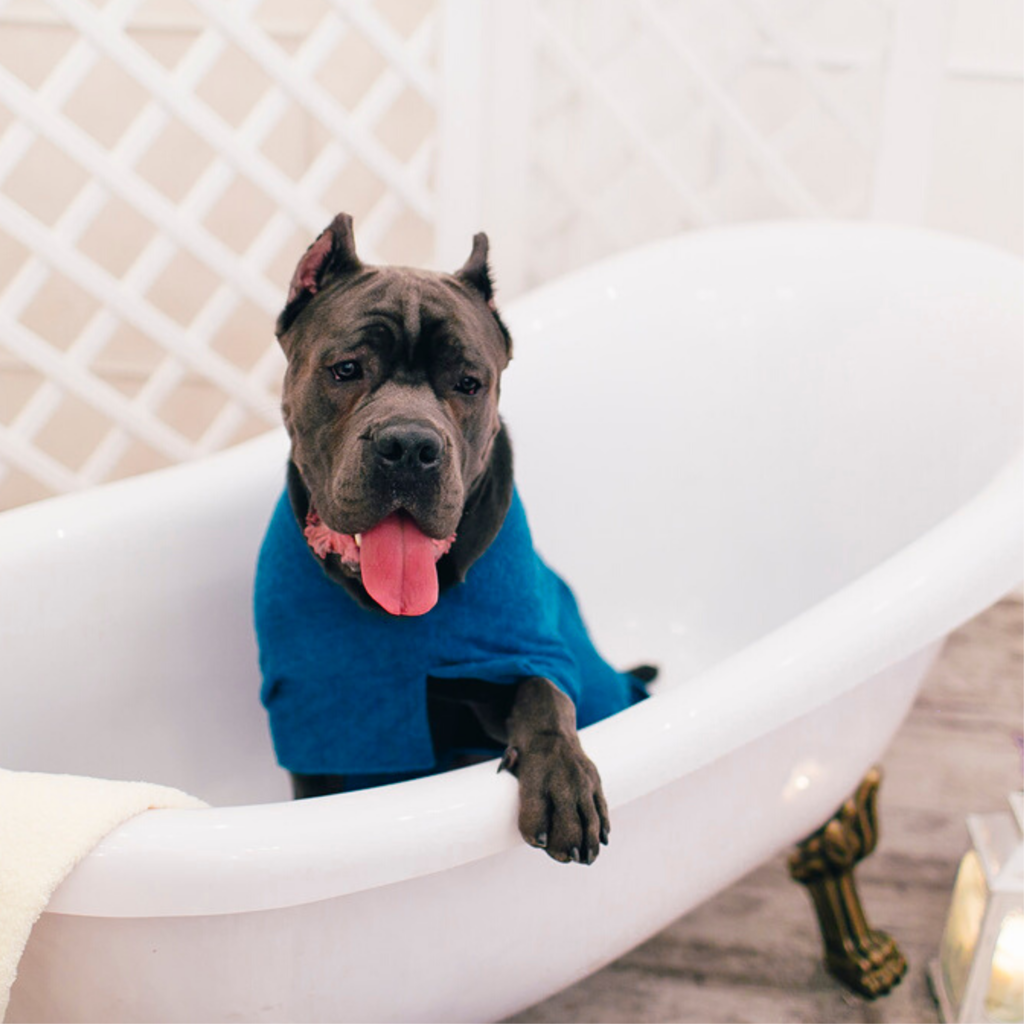 DOGХАЛАТ махровый DogSoap