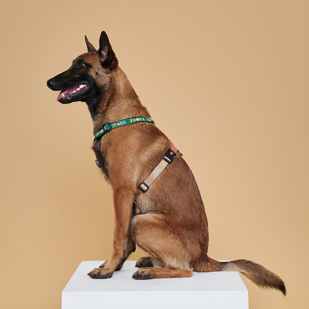 Sharik Dog Шлейка FOODIE