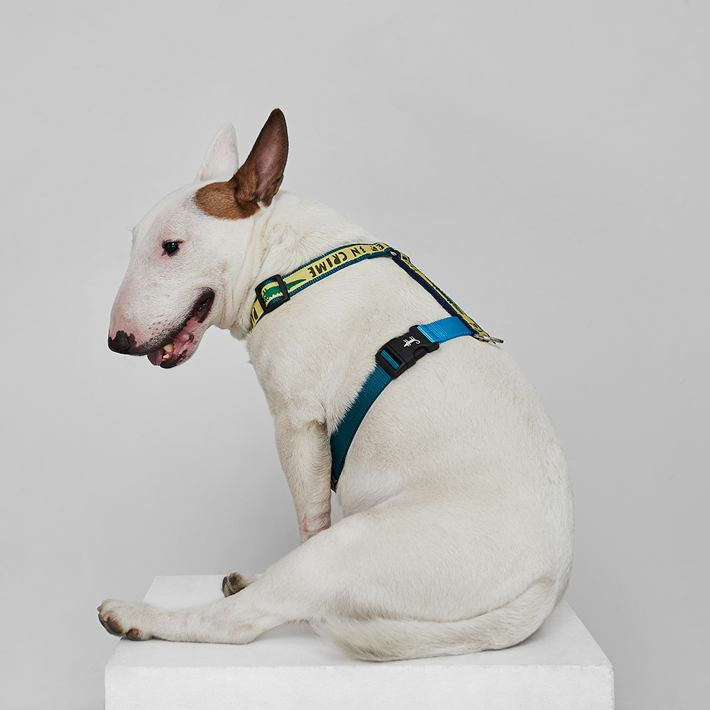 Шлейка СОУЧАСТНИК ПРЕСТУПЛЕНИЯ