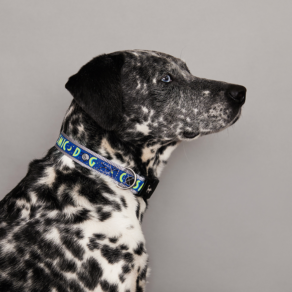 Ошейник для собаки COSMIC DOG