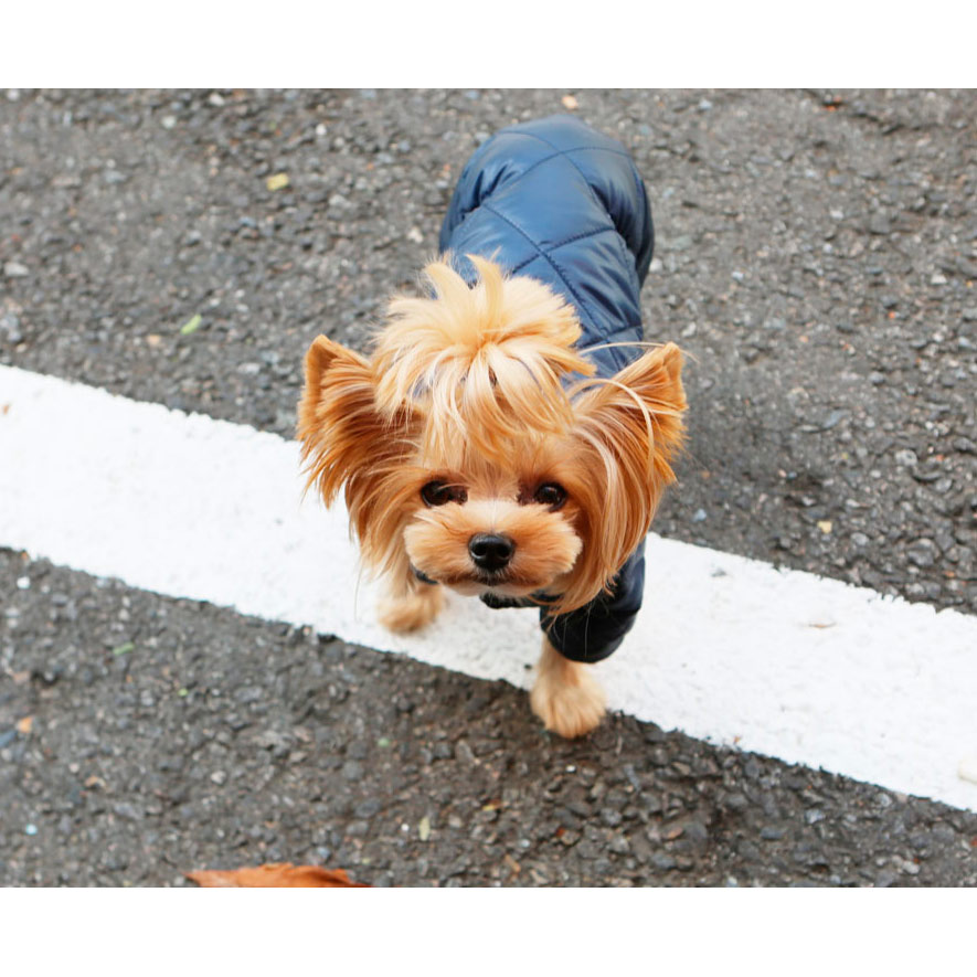 Комбинезон "Стежка" на атласе унисекс синий