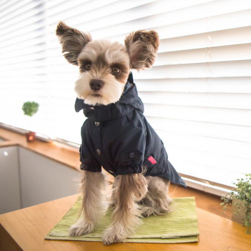 PINKAHOLIC Плащ с капюшоном CLARIS, синий