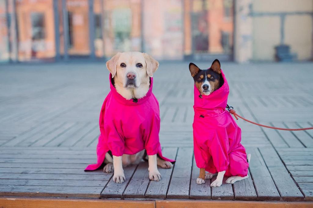 ARMOREDDOG Комбинезон для из мембраны демисезонный (цвета и породы в ассортименте)