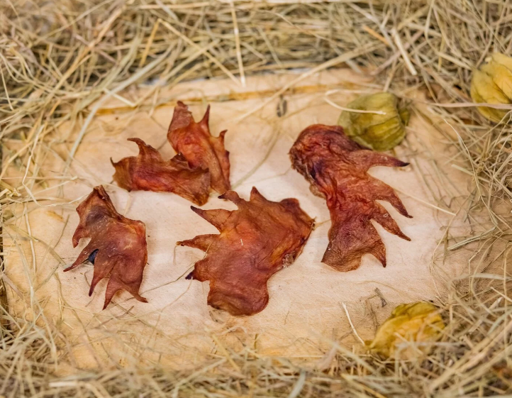 Lesli goods Подсушенные гребешки (кура, 5 шт)