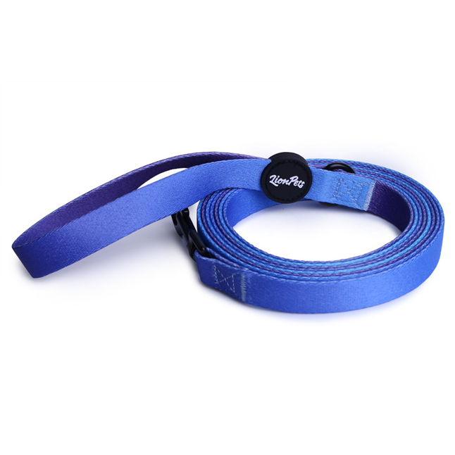 LionPets Поводок для собак с рисунком (Голубой неон)