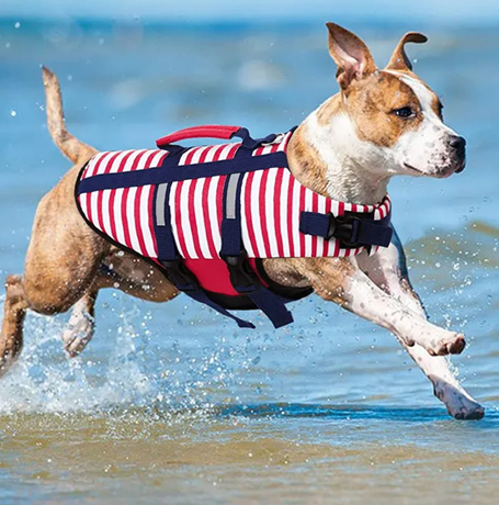 Спасательный жилет для животных  в полоску