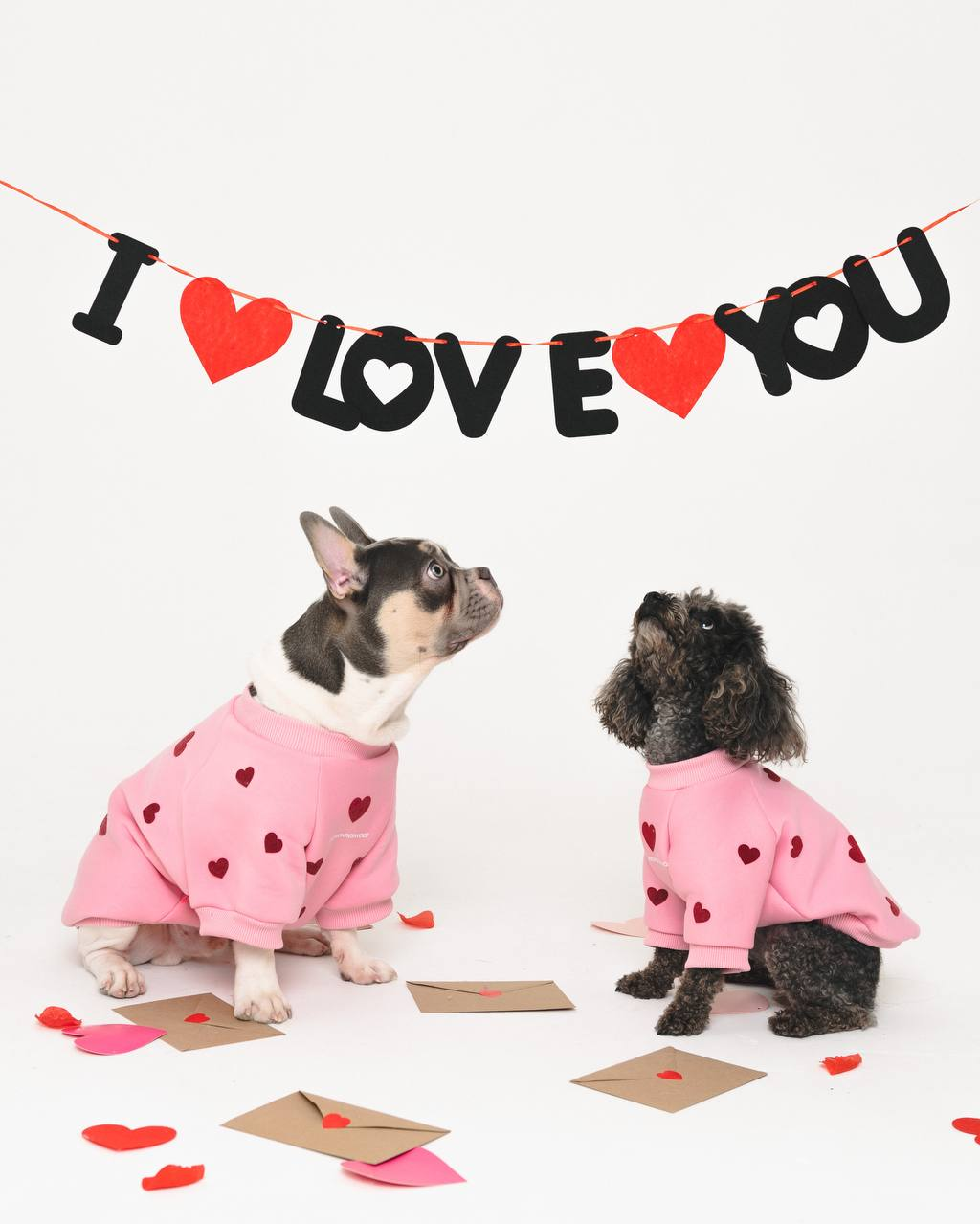 WonderWoof Свитшот с сердечками